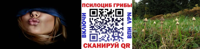 Псилоцибиновые грибы мицелий  OMG ссылки  Уяр 